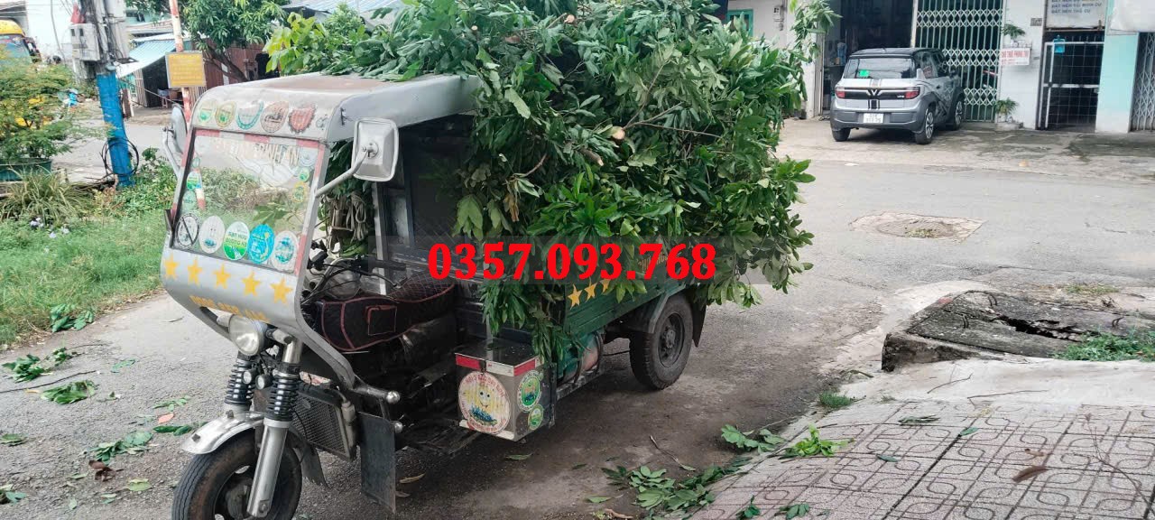 Xe ba gác chuyển nhà, chuyển trọ quận Tân Phú 0357.093.768